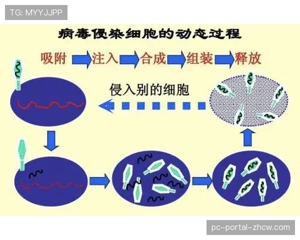 多语种赛后新闻发布会自动转录及翻译系统在季后赛全面投入使用